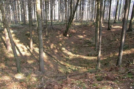 Bild 2 von Dolinen- und Erdfallfeld in den Bürener Wäldern